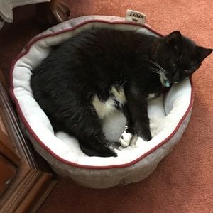 Meet your Posher, Barbara